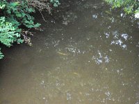 Wülfingersde 3 1420